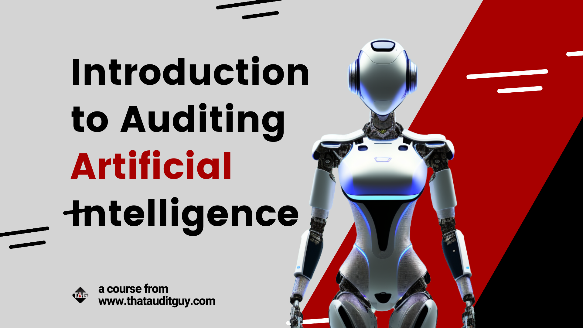 introduction-to-auditing-artificial-intelligence-that-audit-guy