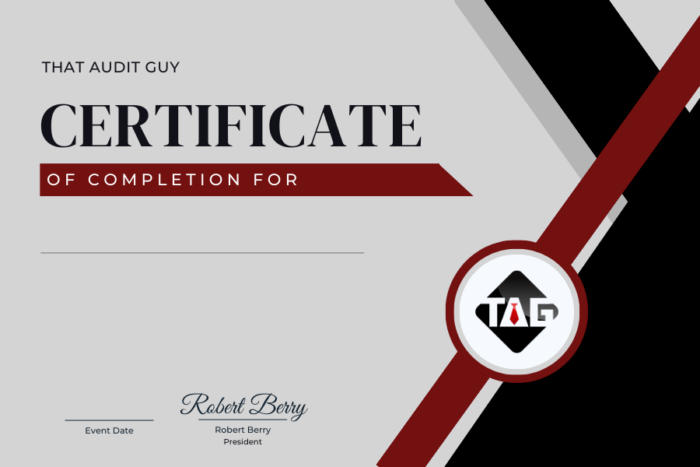 Certificate Template That Audit Guy